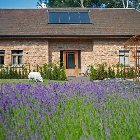 B&B Gielse Garden Gierle Экстерьер фото